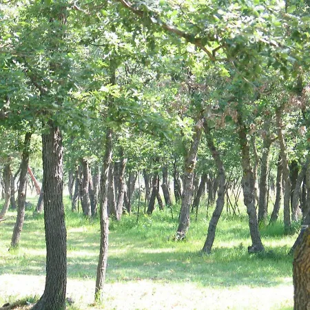 Appartamento Kovacic Jurlina Poljica (Zadar)